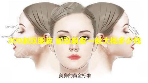 300割双眼皮 割双眼皮一般大概多少钱